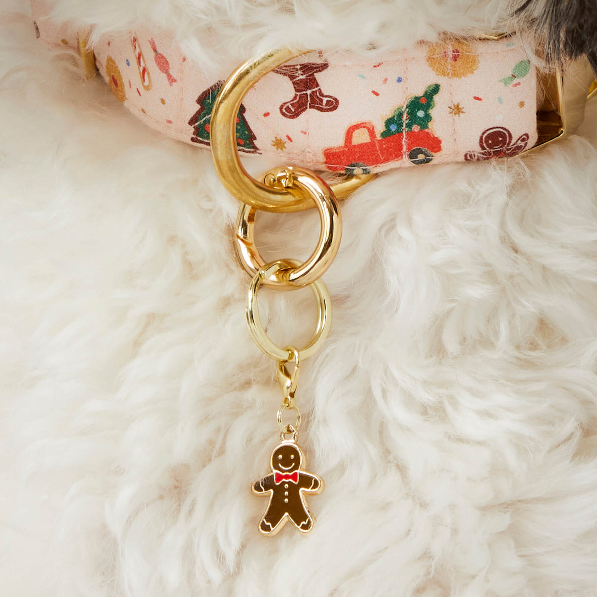 Pet Tag Keeper