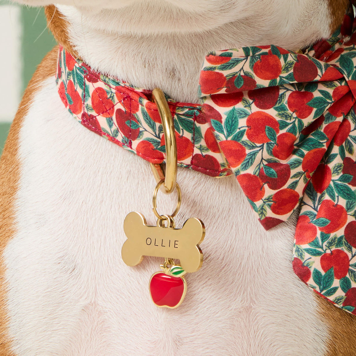 Bone Pet ID Tag