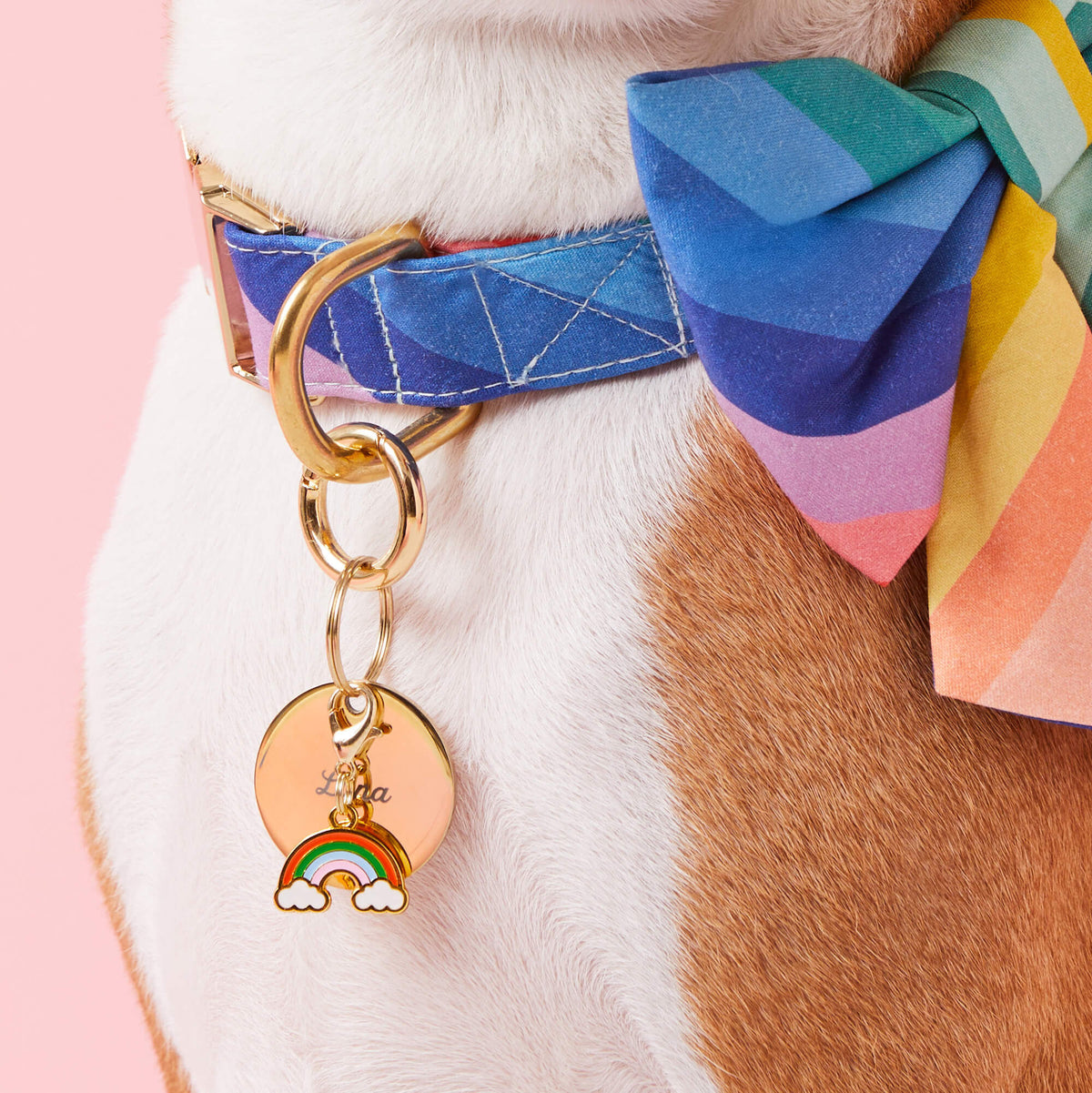 Rainbow Collar Charm