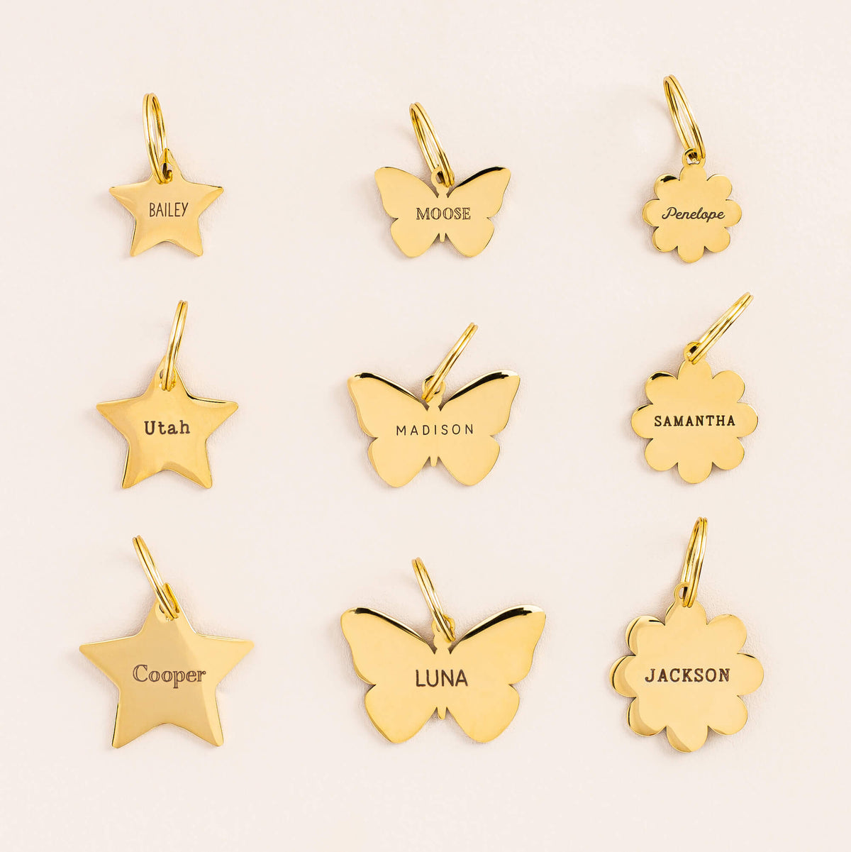 Butterfly Pet ID Tag