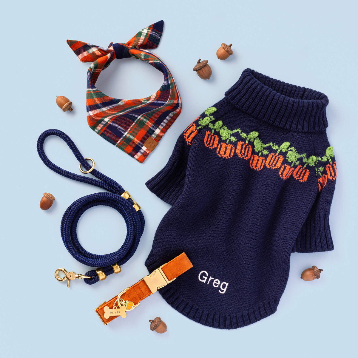 Bone Pet ID Tag