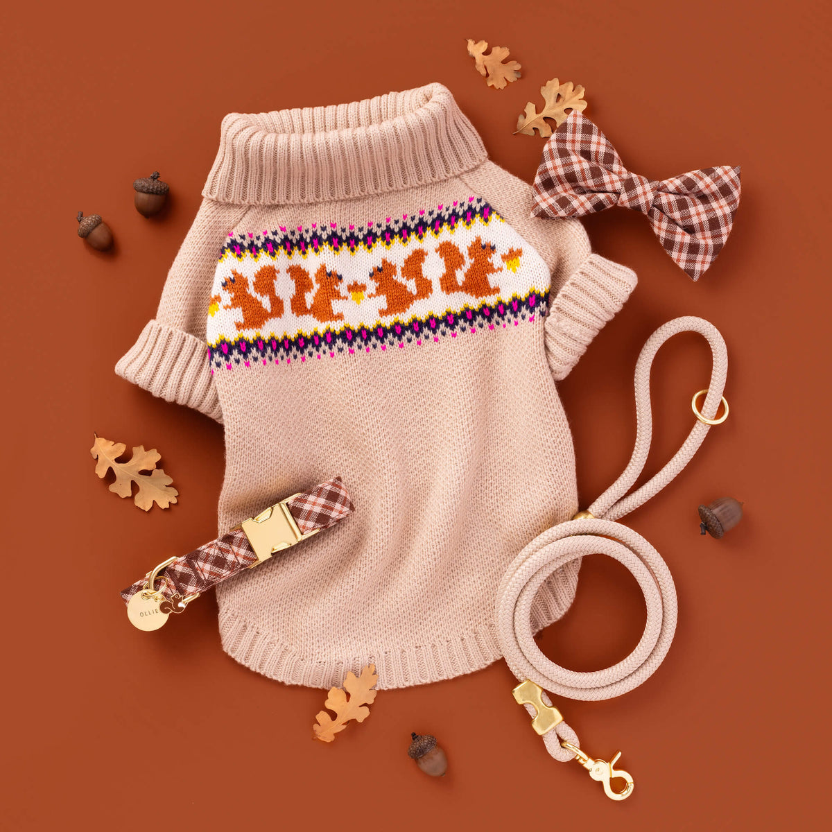 Circle Pet ID Tag