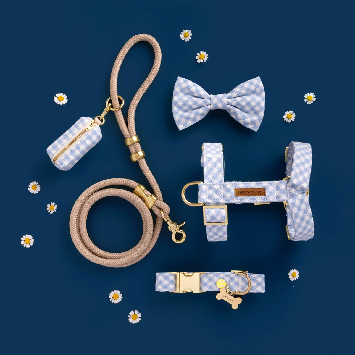 Sky Blue Gingham Collar Walk Set