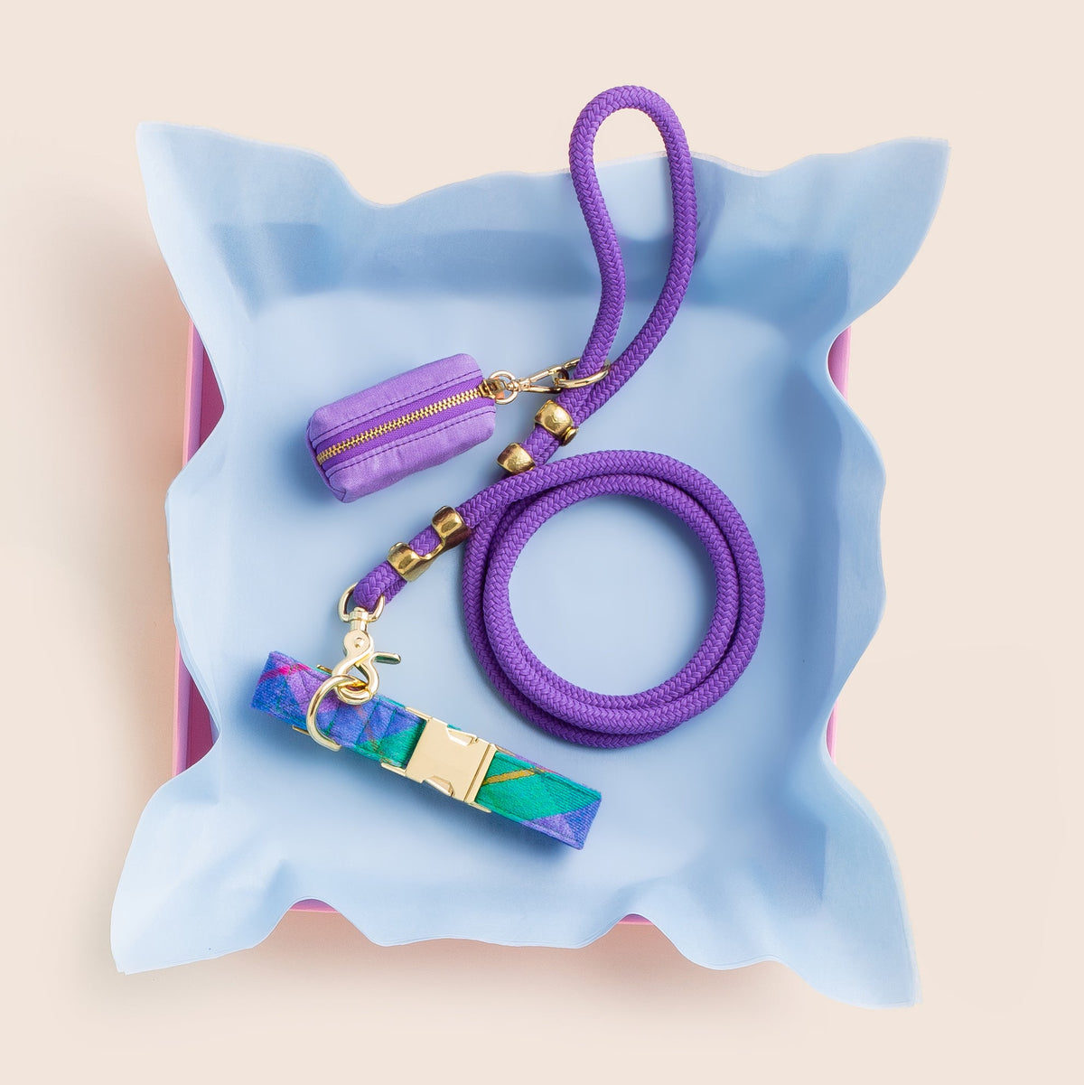 Violet Marine Rope Dog Leash