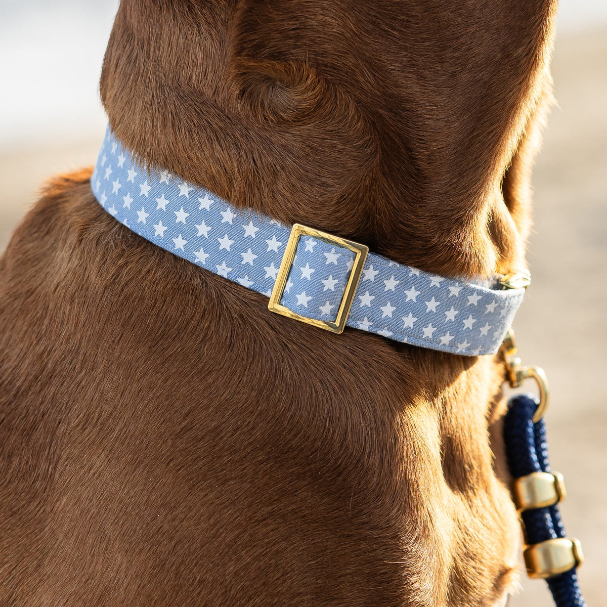 Liberty Dog Collar
