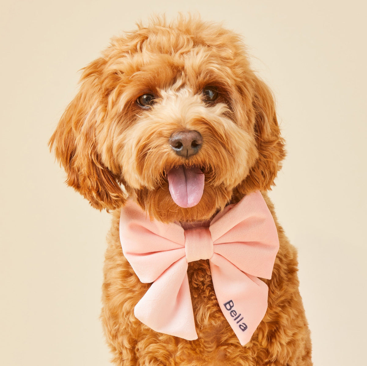 Blush Pink Velvet Lady Dog Bow