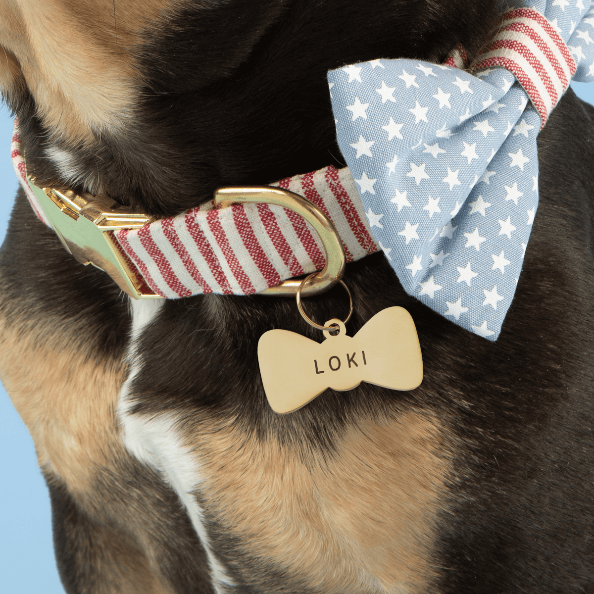 Bow Tie Pet ID Tag