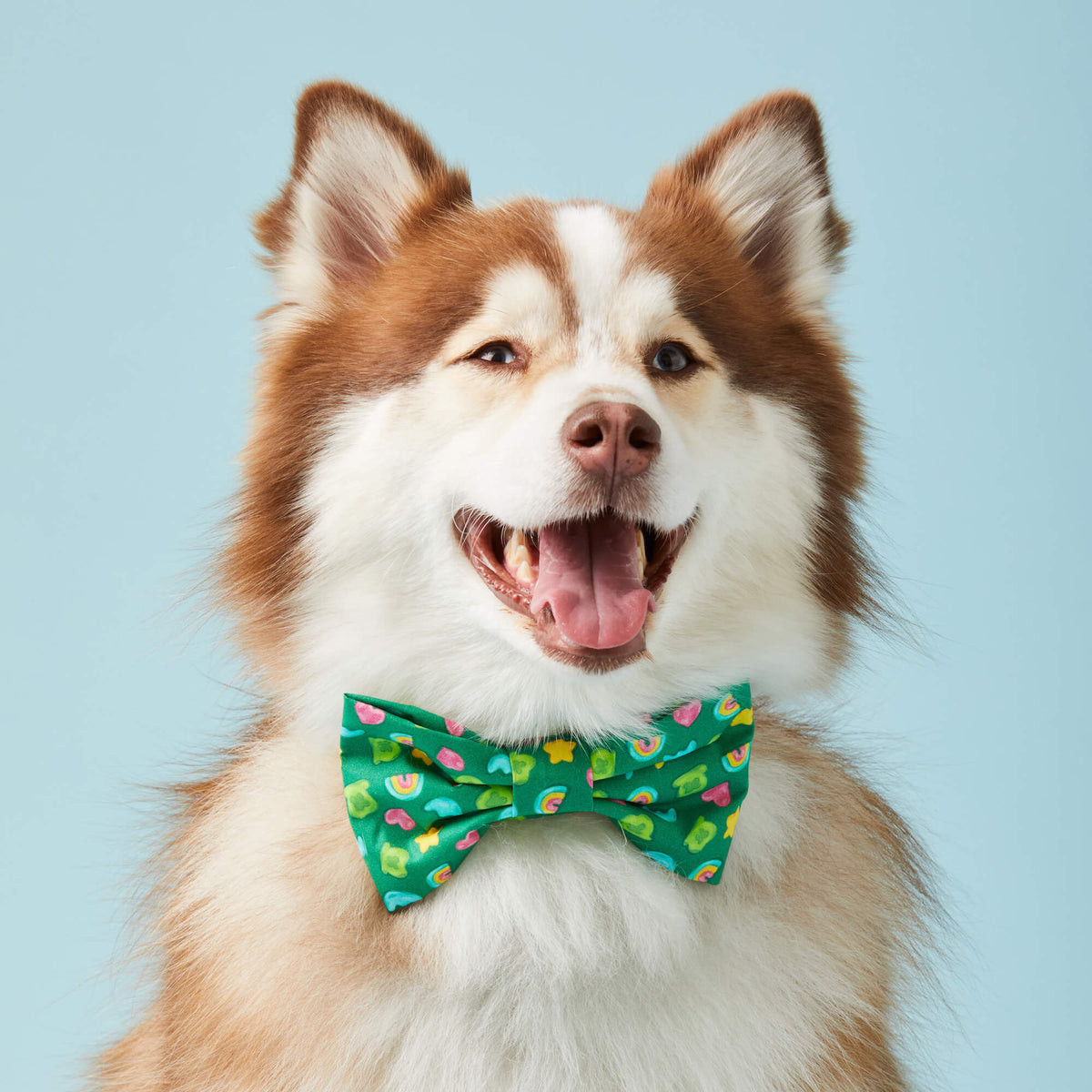 Charmed Dog Bow Tie