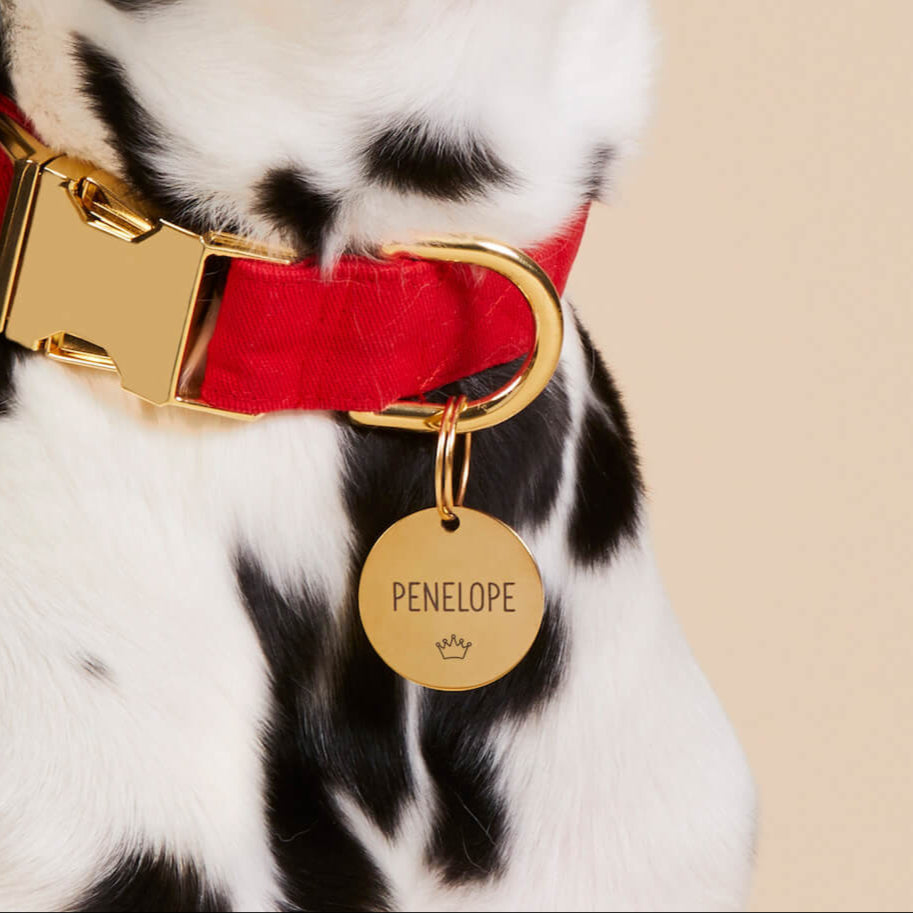 Circle Pet ID Tag: Crown Icon