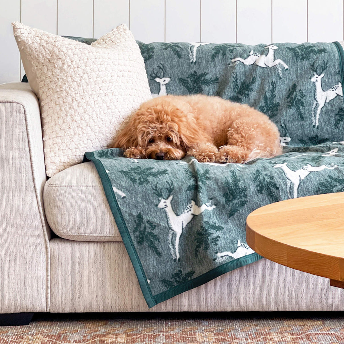 ChappyWrap Harborview Herringbone Tan Dog Blanket