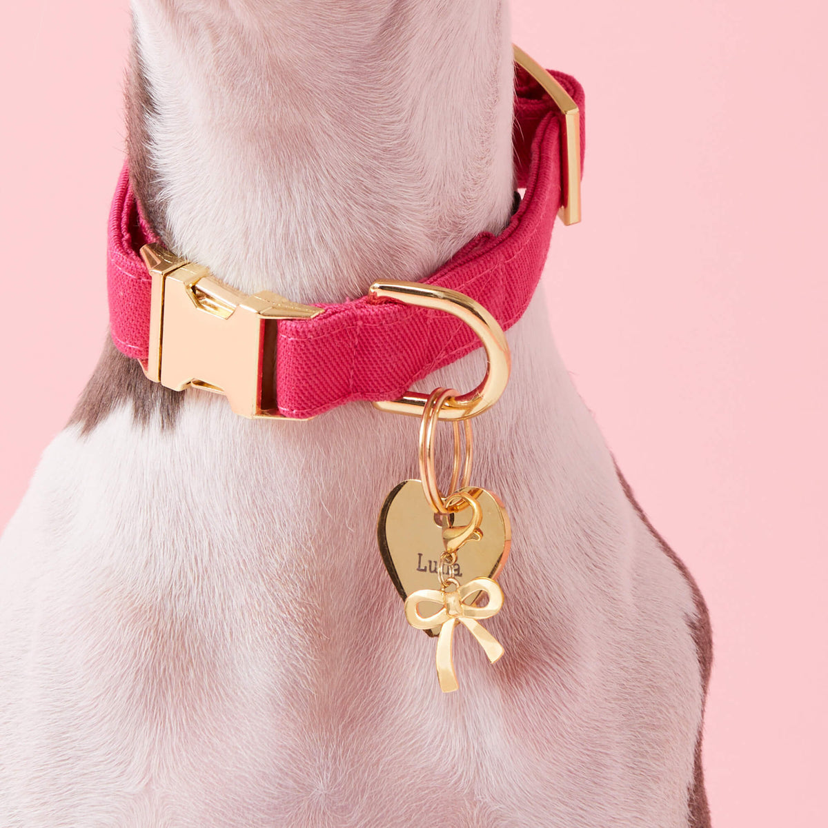 Hot Pink Dog Collar