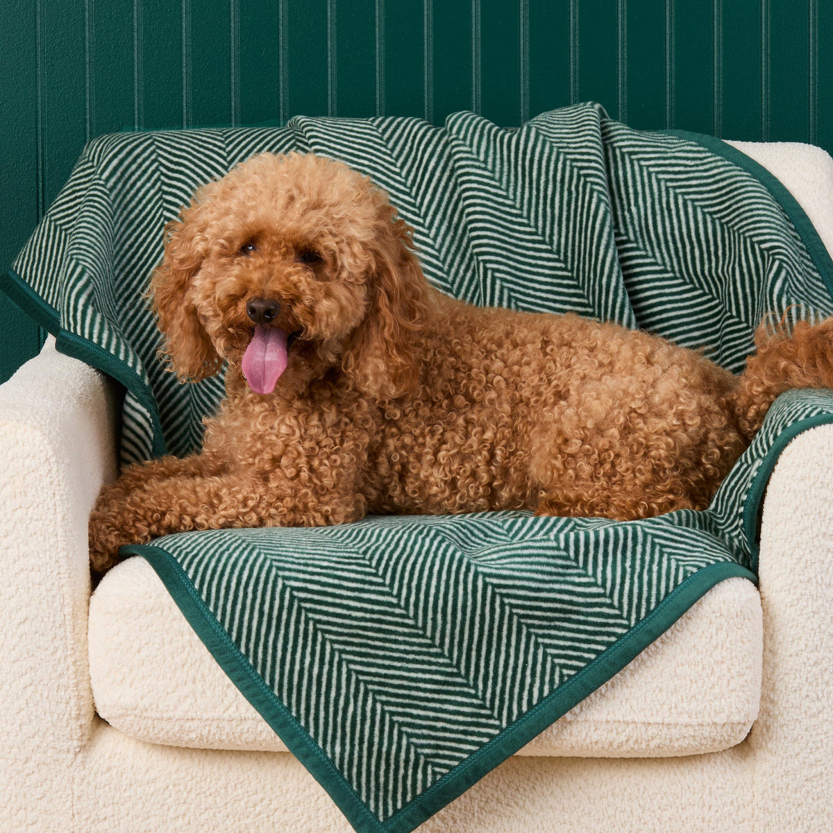 ChappyWrap Harborview Herringbone Evergreen Dog Blanket