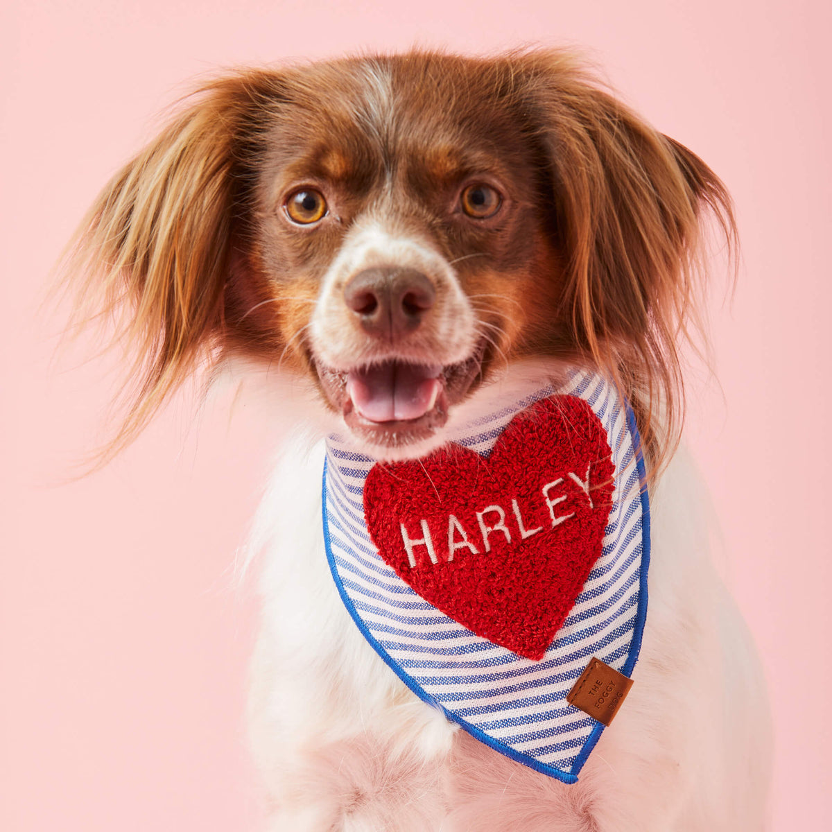 Heart Applique Dog Bandana