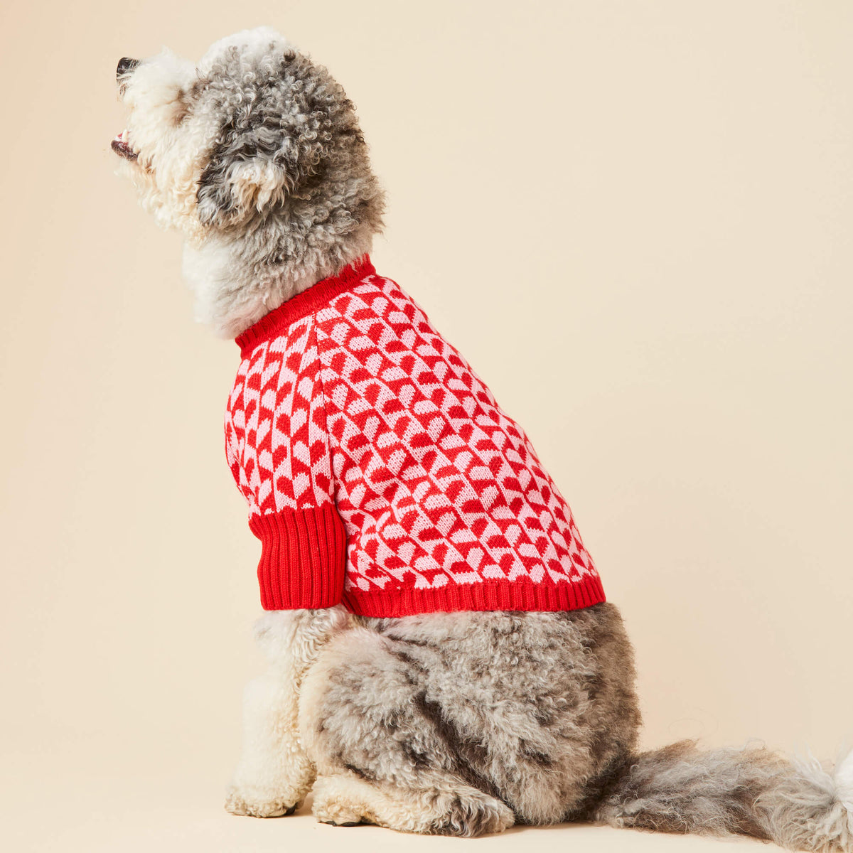Heart Stripe Dog Sweater
