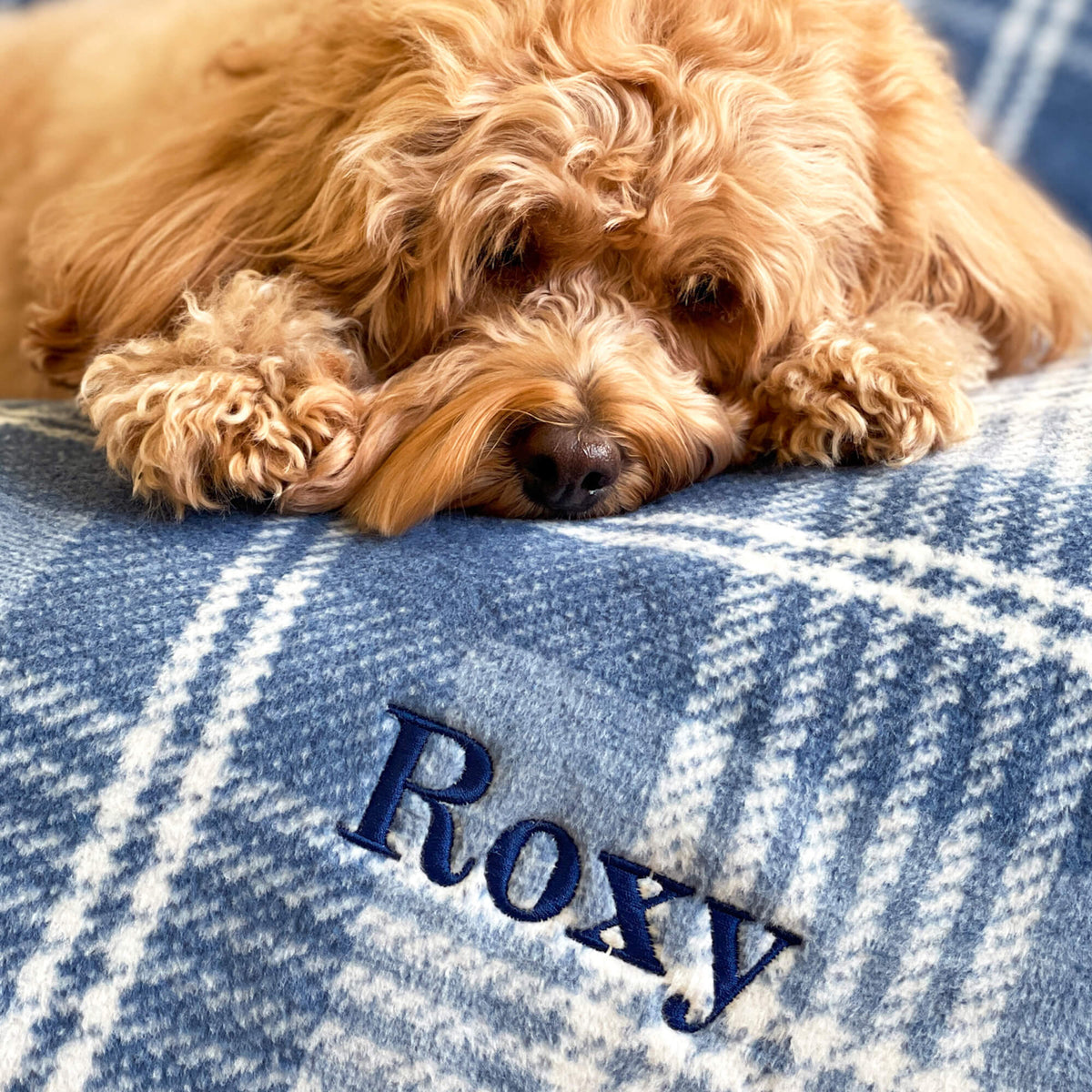 ChappyWrap Harborview Herringbone Evergreen Dog Blanket