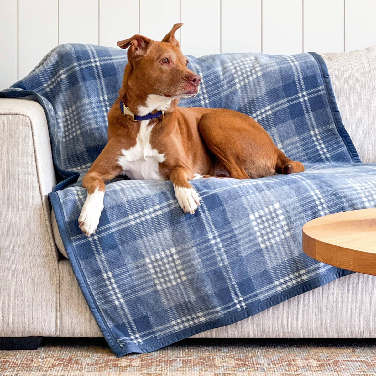 ChappyWrap Harborview Herringbone Blush Dog Blanket