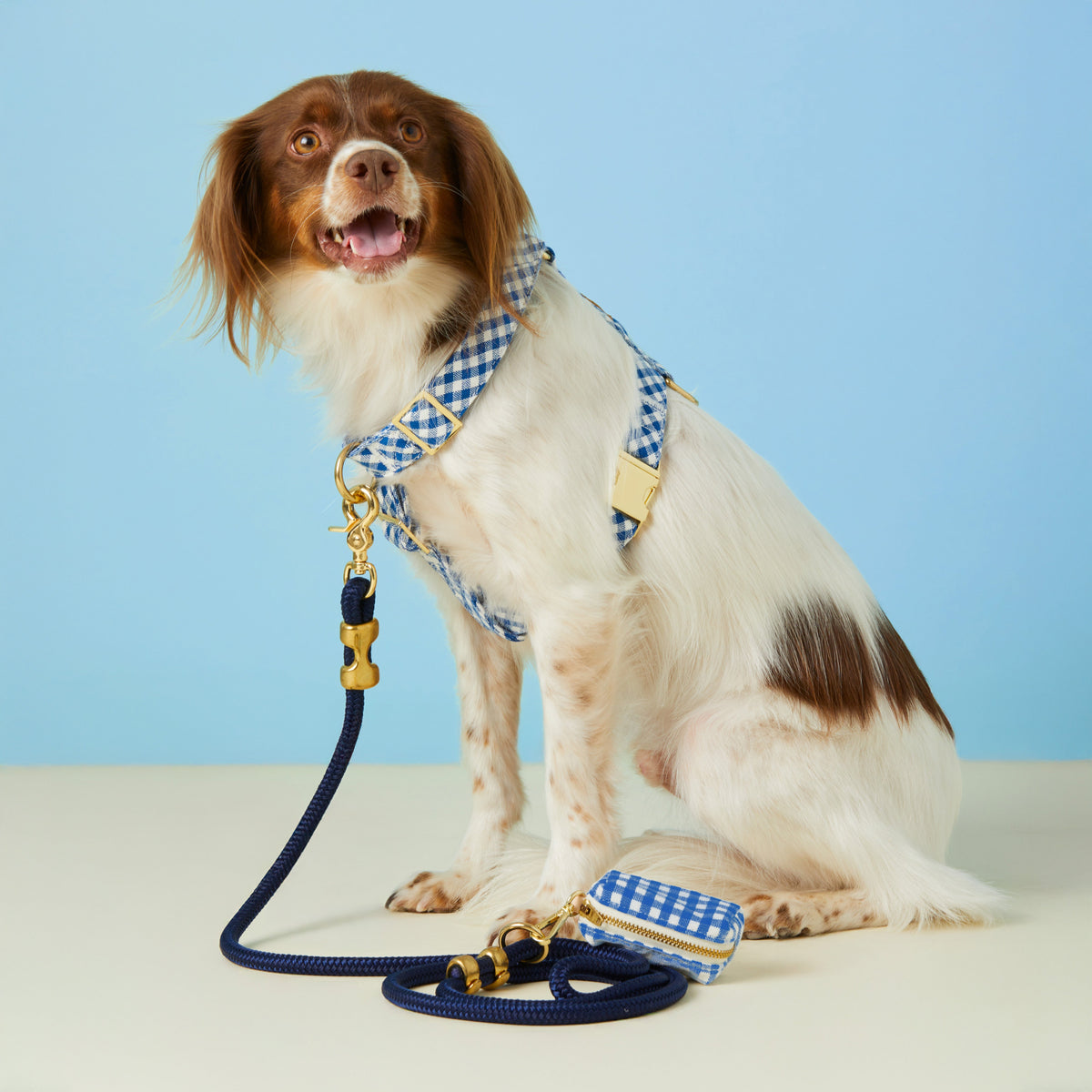 Lake Blue Gingham Dog Harness