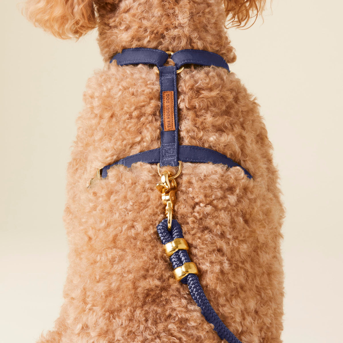 Ocean Harness Walk Set