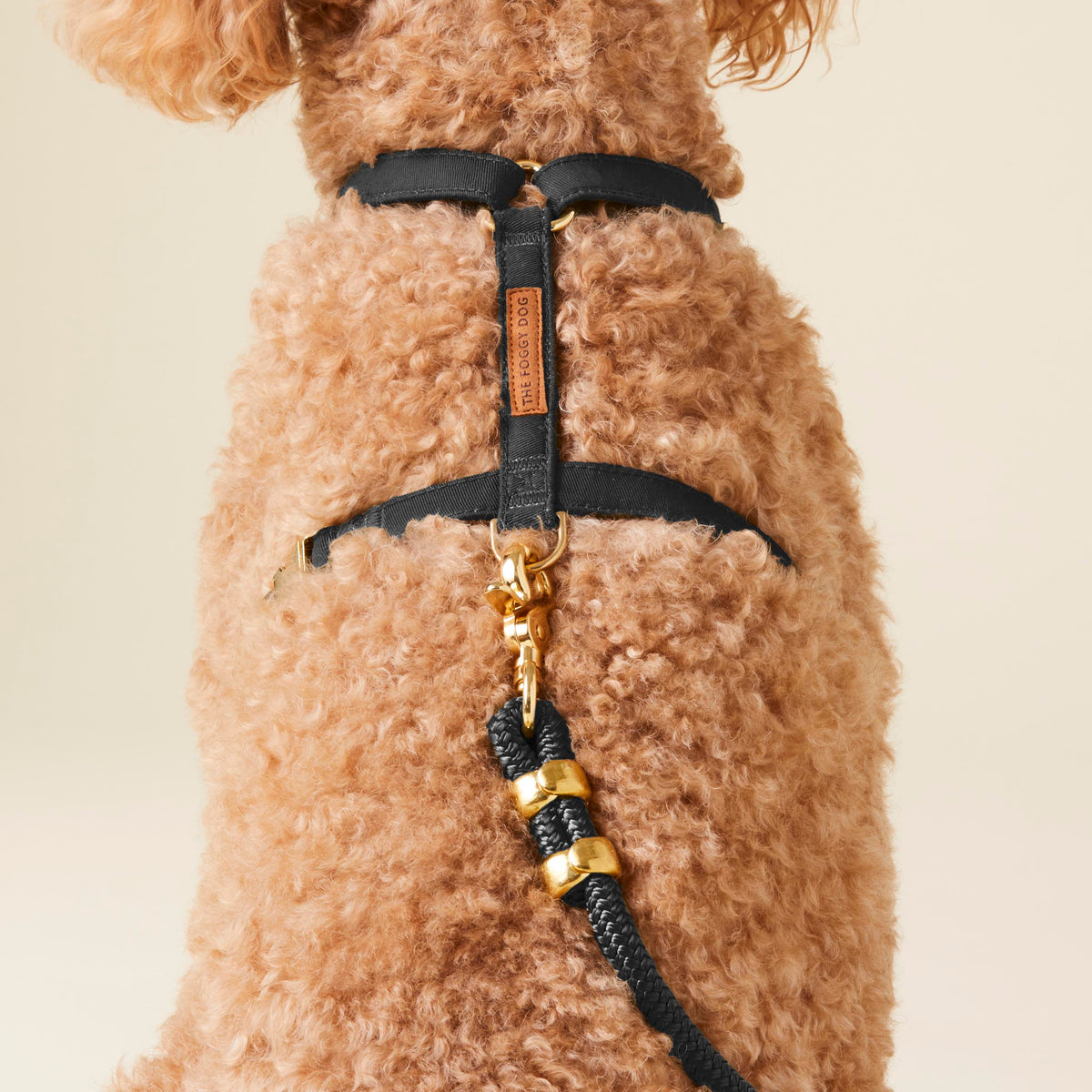 Onyx Harness Walk Set