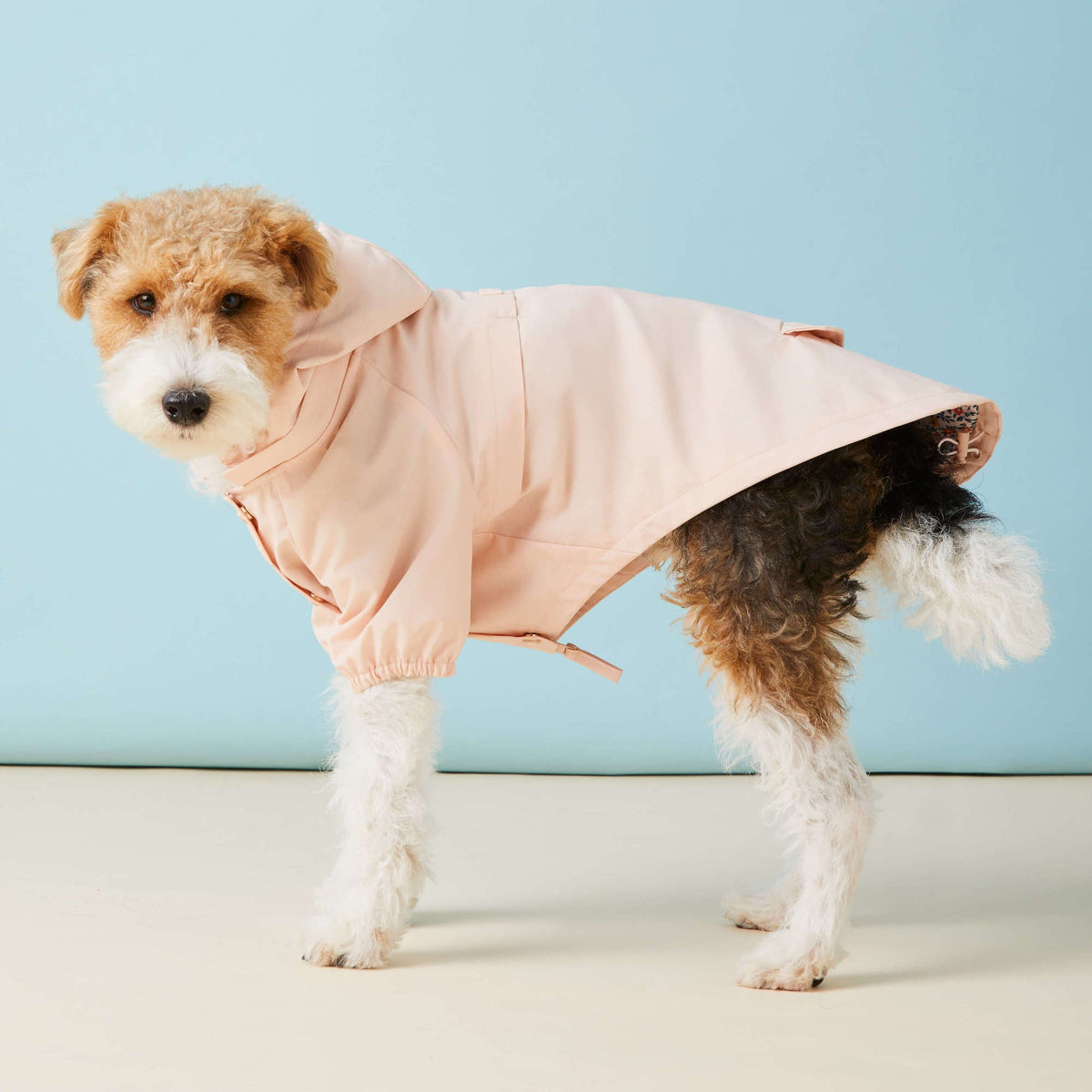 Petal Pink Dog Raincoat