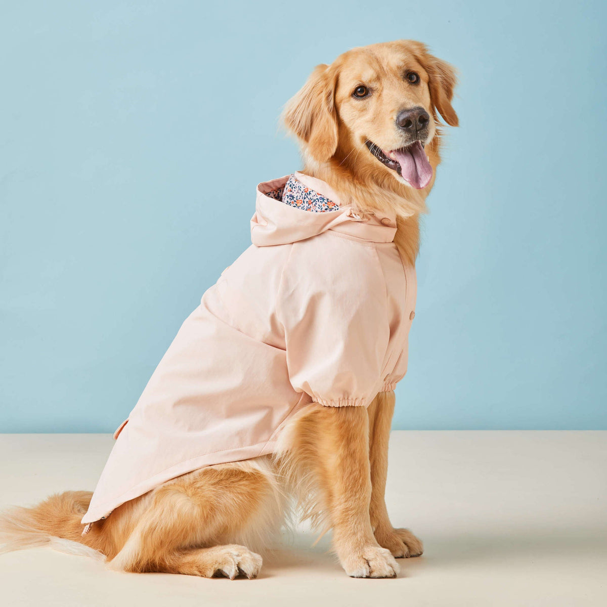 Petal Pink Dog Raincoat