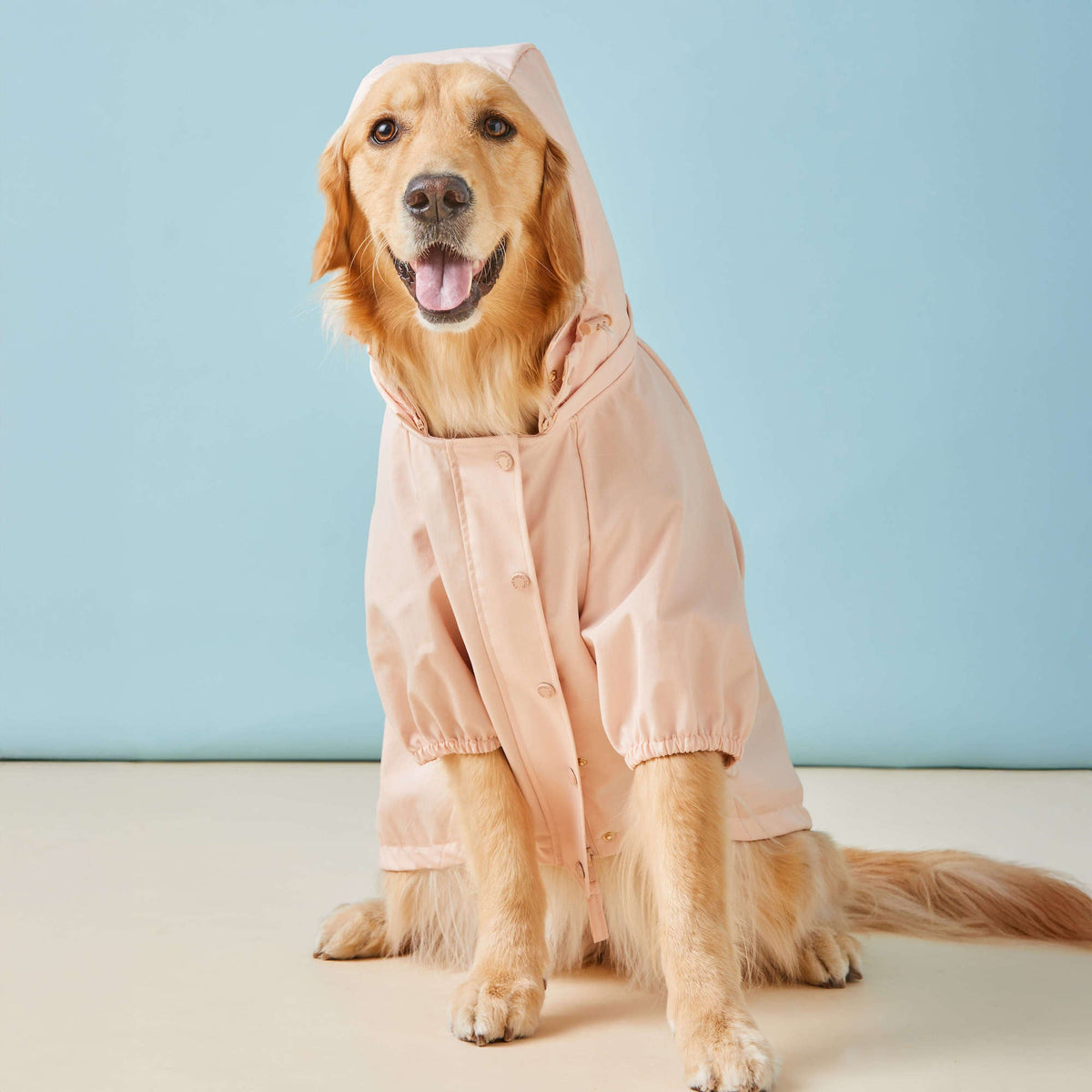 Petal Pink Dog Raincoat