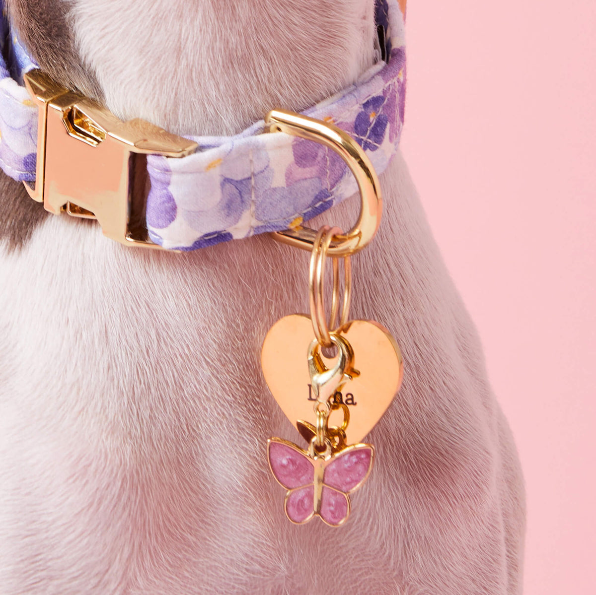 Butterfly Garden Collar Charm Set