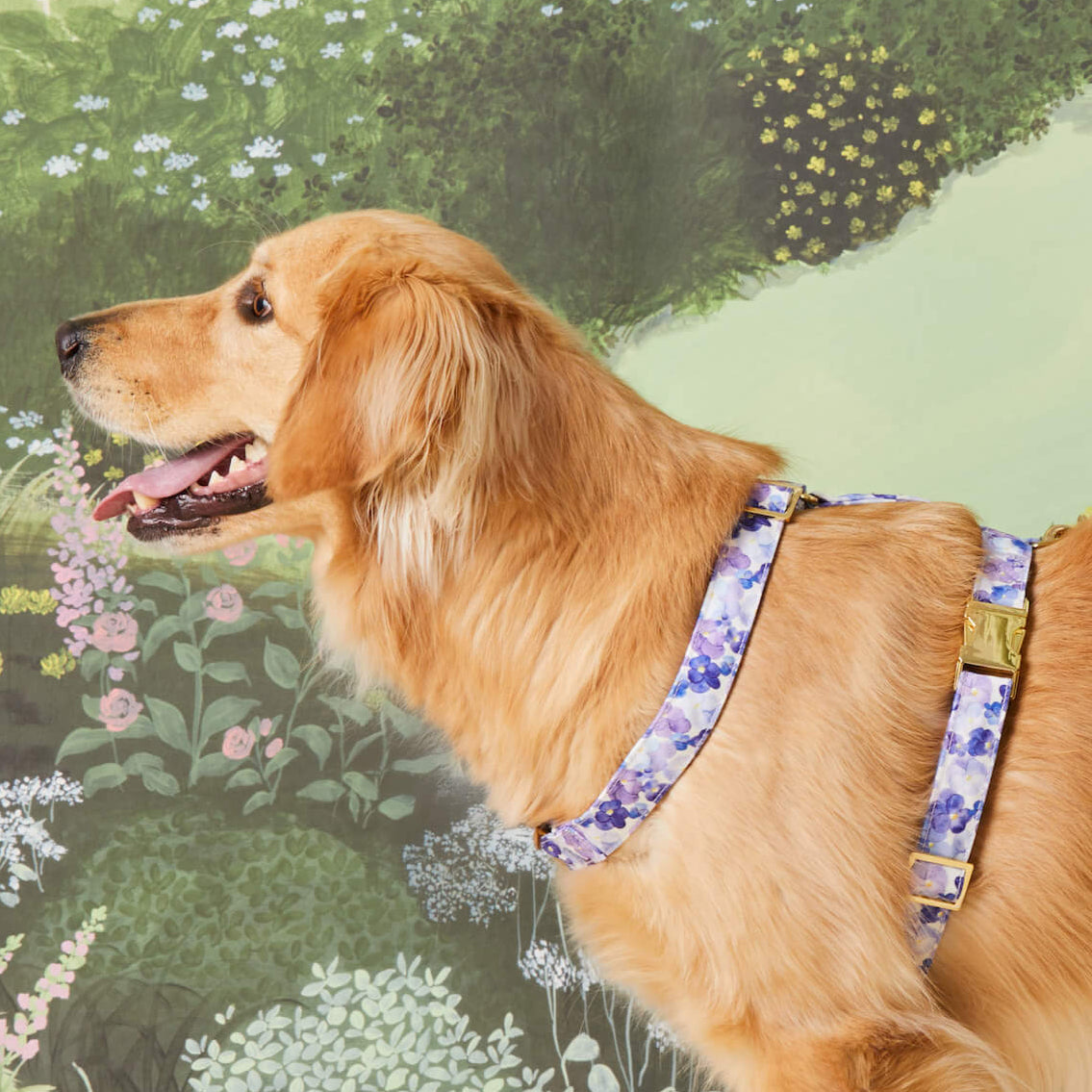 Pressed Pansies Dog Harness