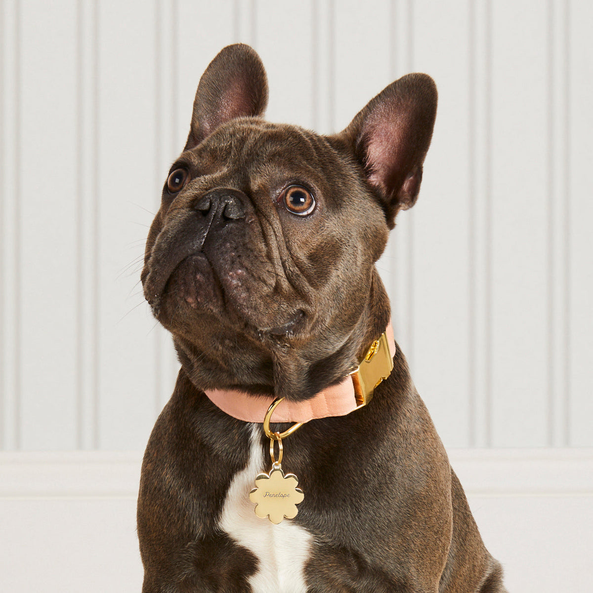 Flower Pet ID Tag