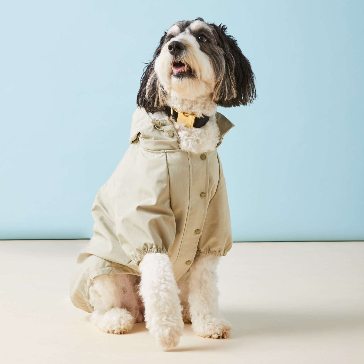 Sage Dog Raincoat