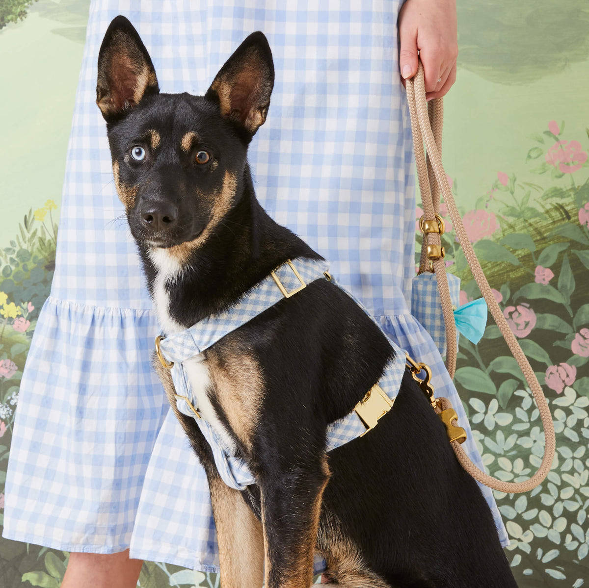 Sky Blue Gingham Harness Walk Set