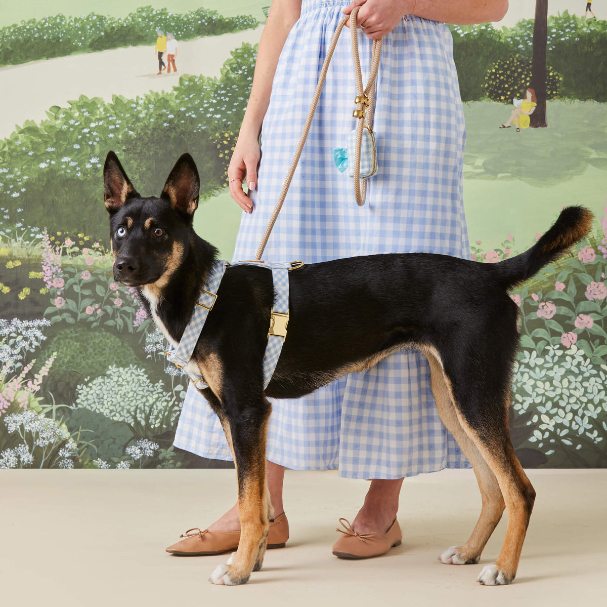 Sky Blue Gingham Harness Walk Set