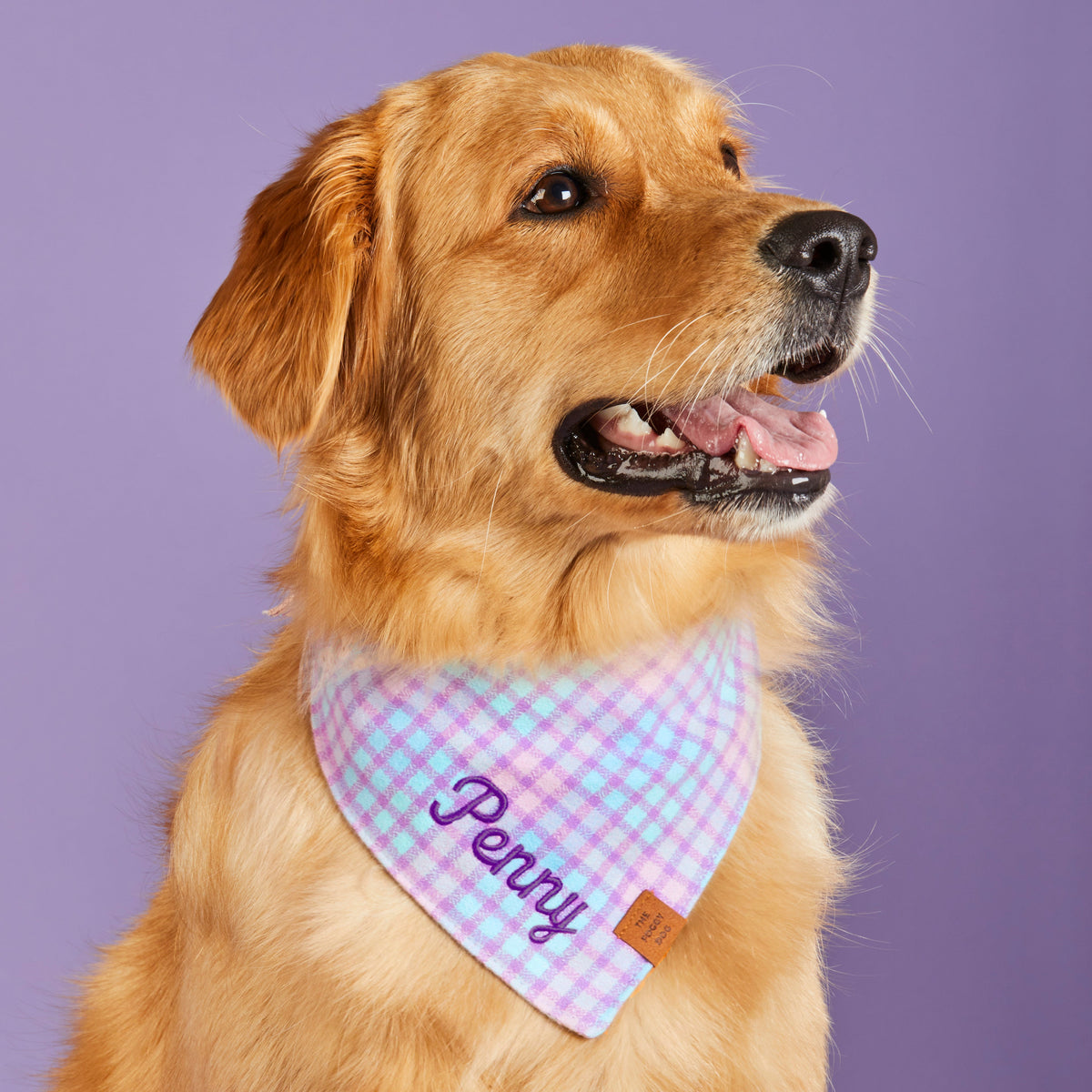 Sorbet Plaid Flannel Dog Bandana