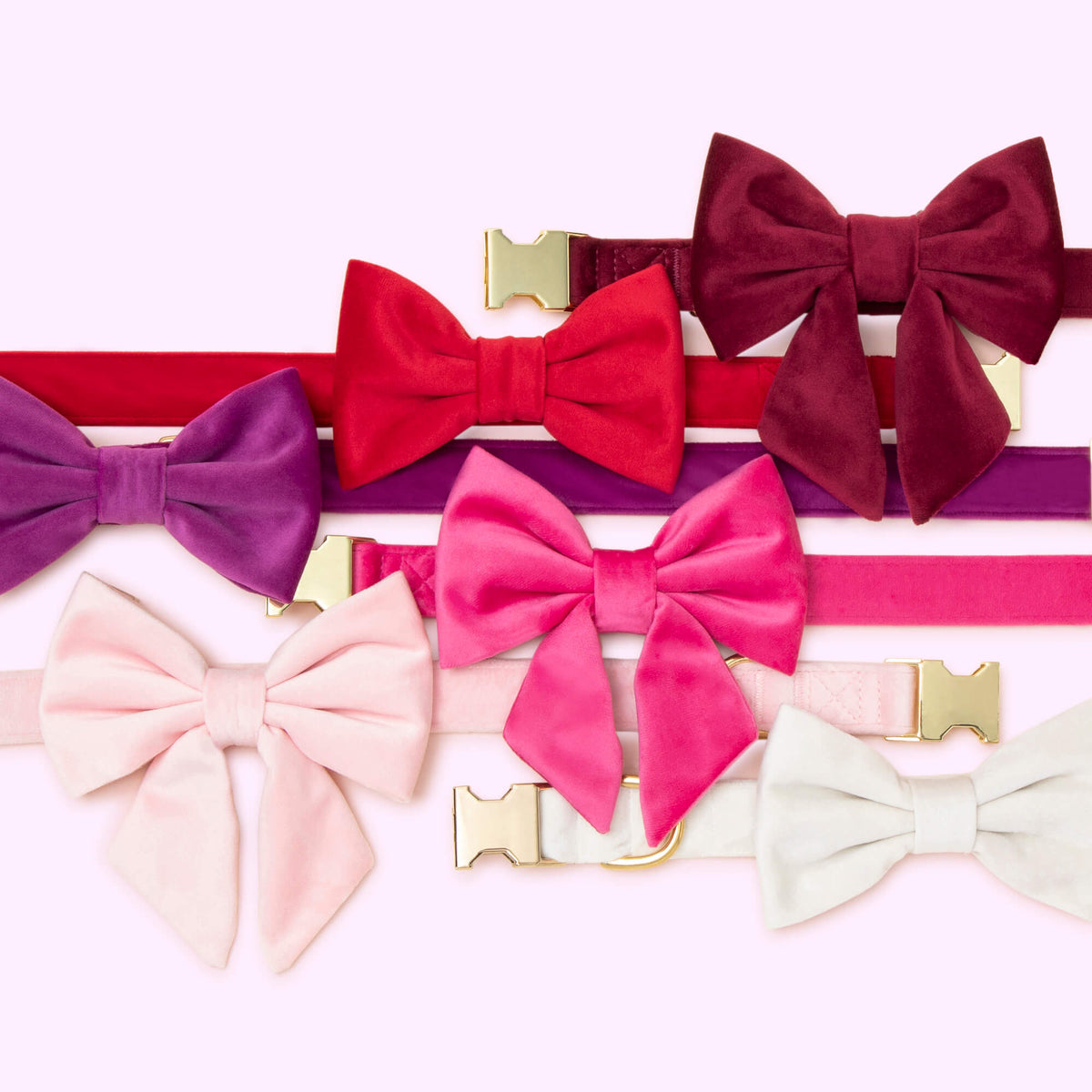 Blush Pink Velvet Lady Bow Collar