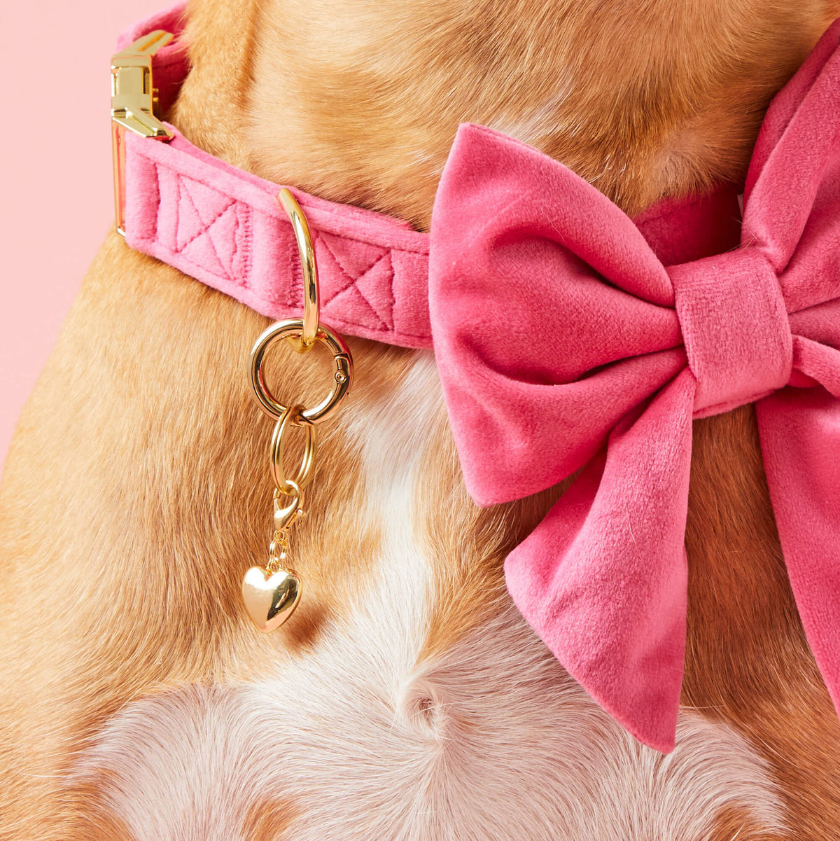 Love is Golden Collar Charm Set