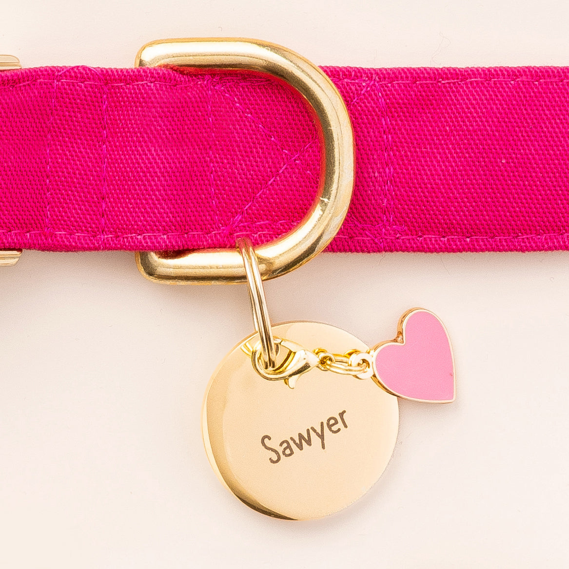 Circle Pet ID Tag