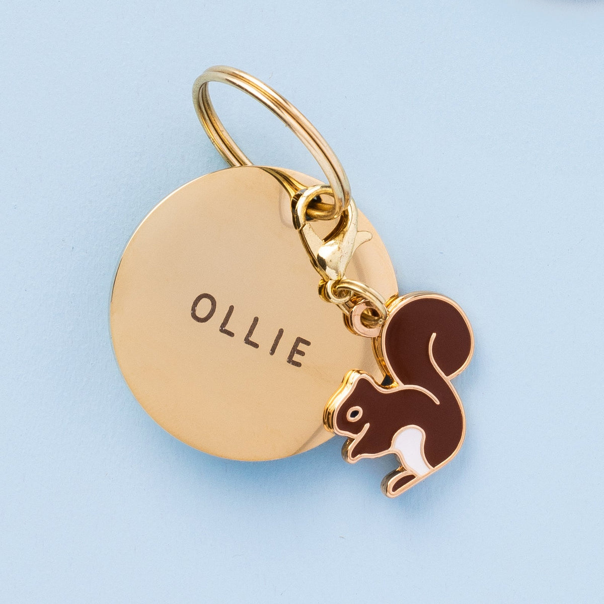 Squirrel Collar Charm