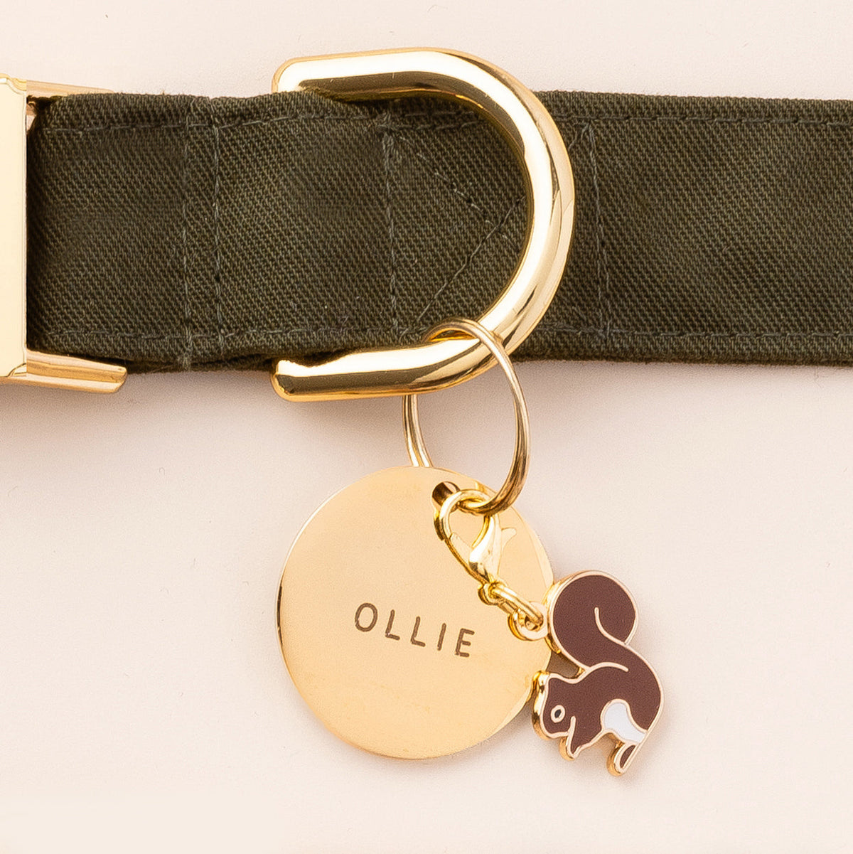 Circle Pet ID Tag