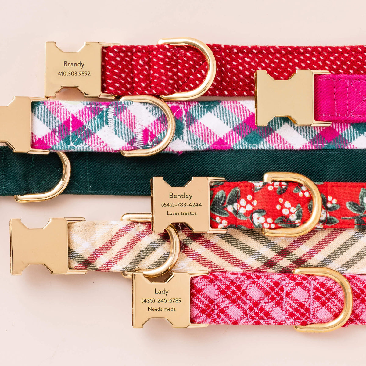 Hot Pink Dog Collar