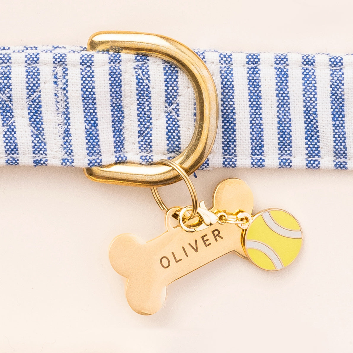 Bone Pet ID Tag