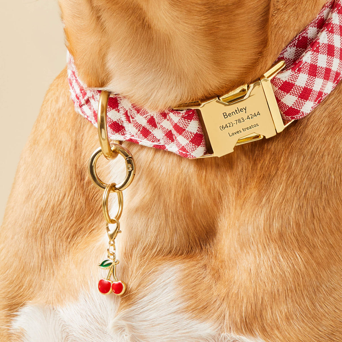 Cherries Collar Charm