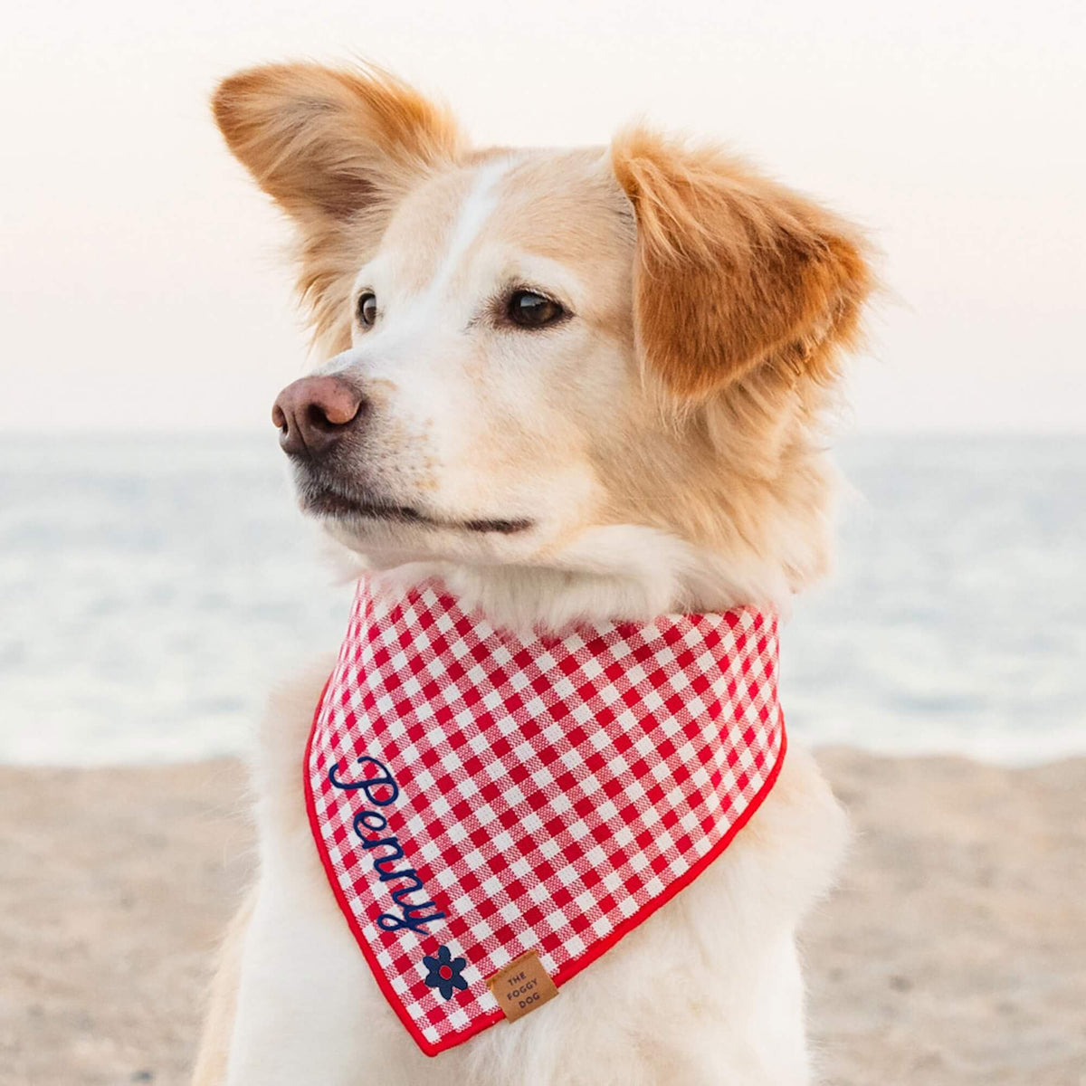 Red Gingham Dog Bandana