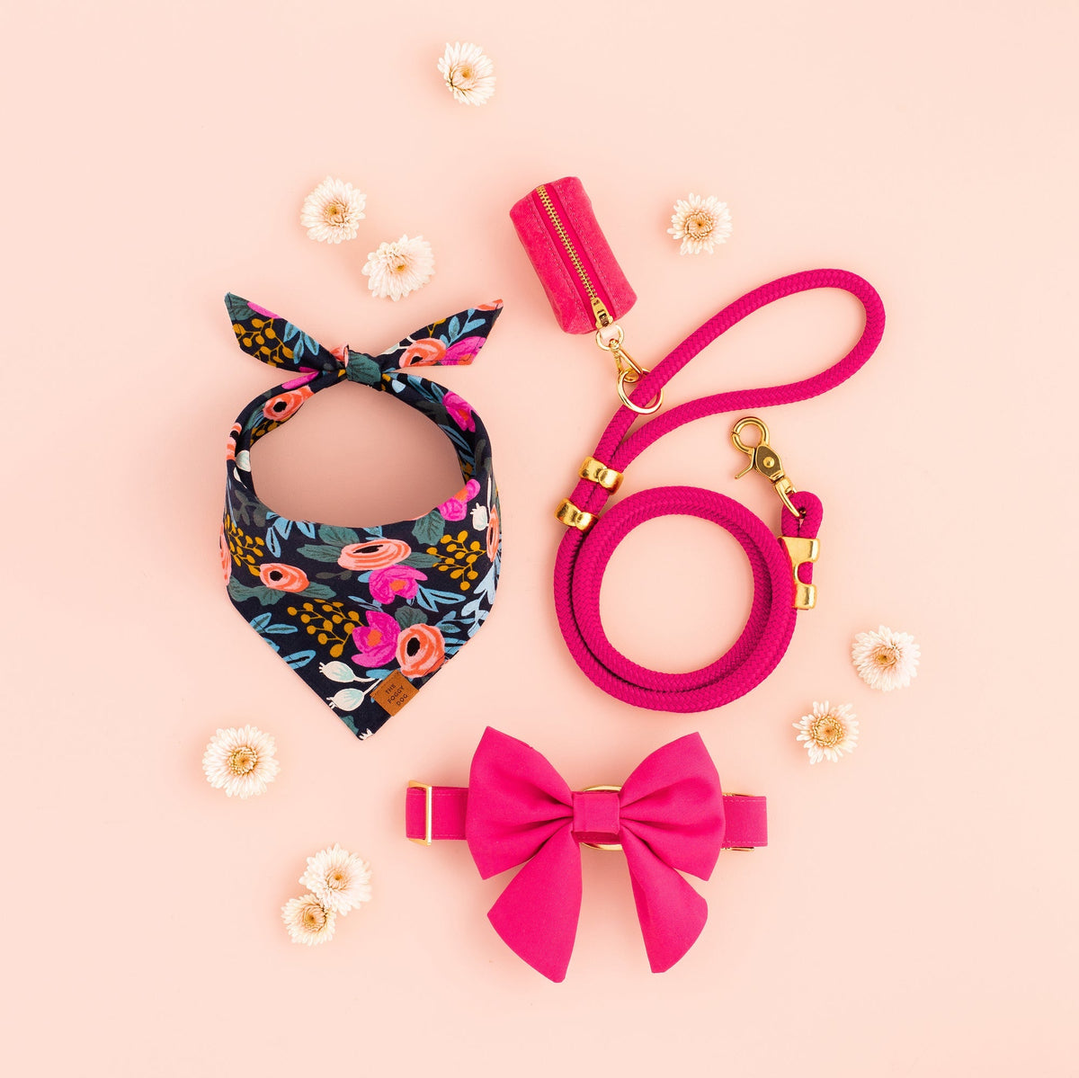 Hot Pink Dog Collar