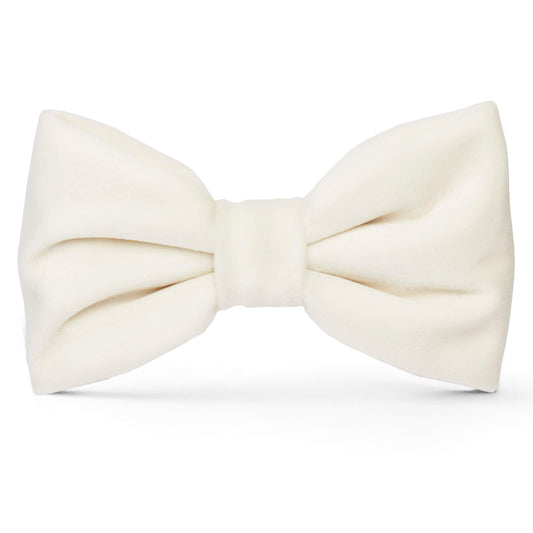Ivory Velvet Dog Bow Tie