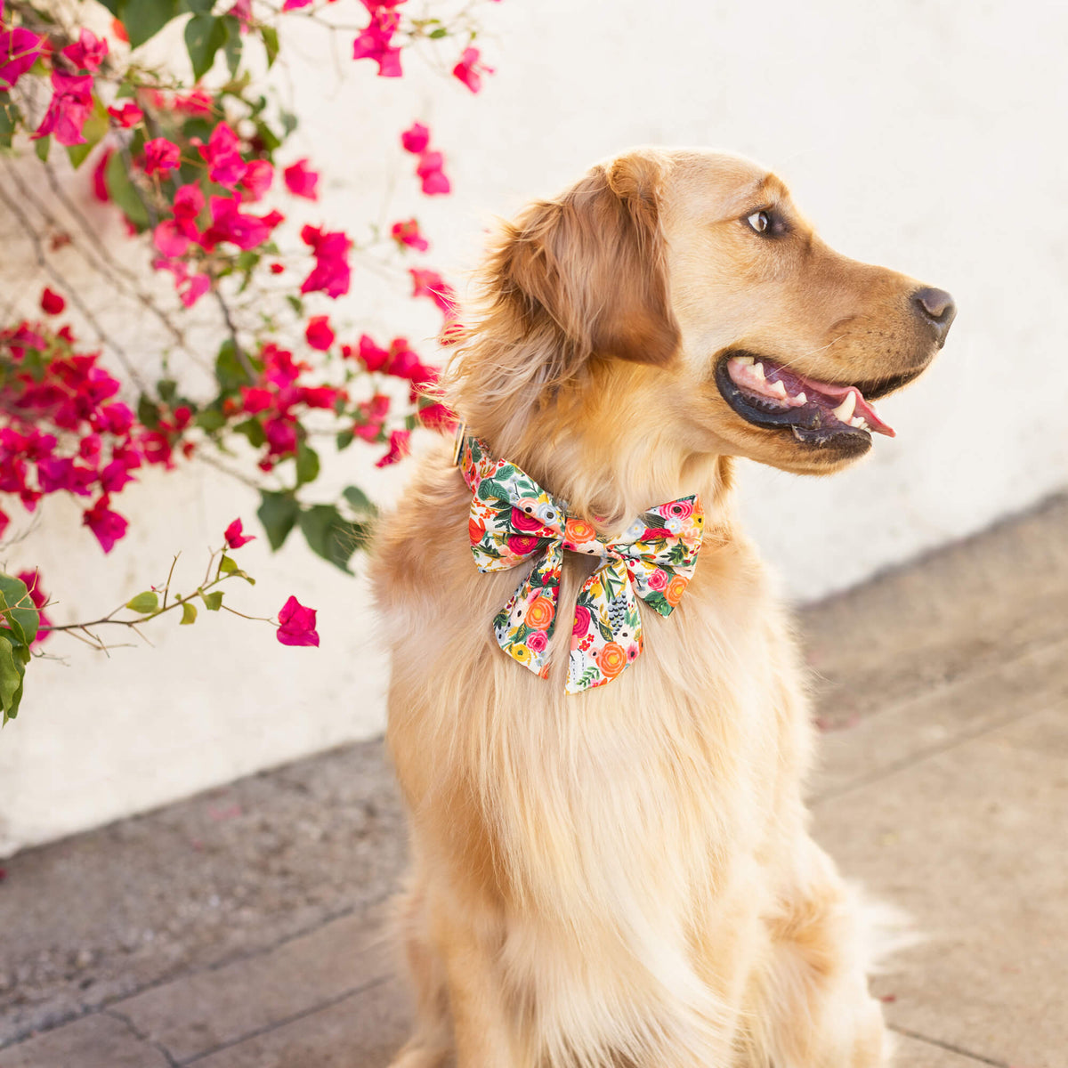 Garden Party Lady Dog Bow